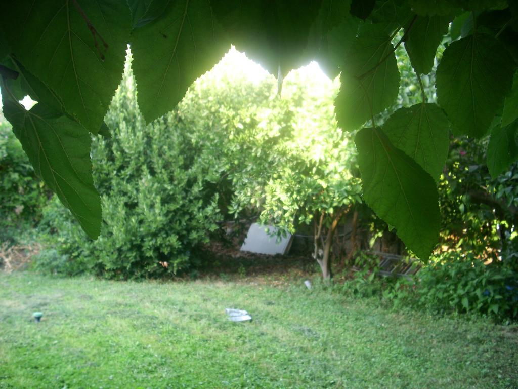 Patriko Country House Vóroi Extérieur photo
